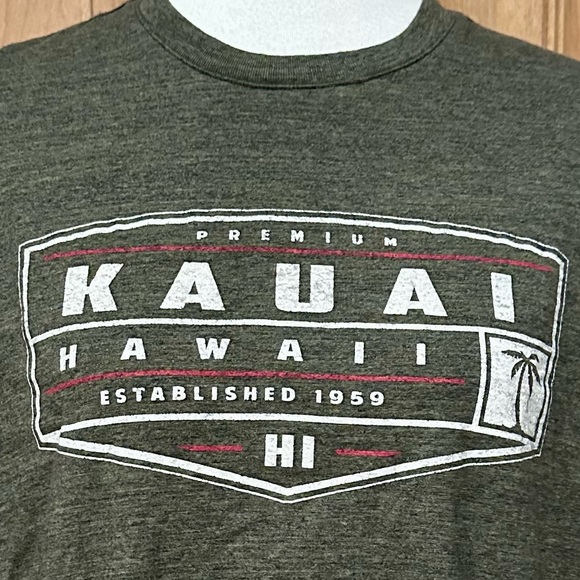 Kauai, Hawaii Deep Green Cotton Blend Short-Sleeve T-Shirt - EUC - L - Picture 2 of 9